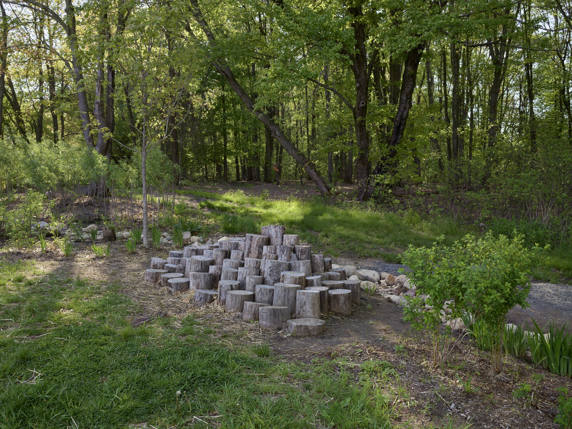 Outdoor mud kitchen and nature play area for children