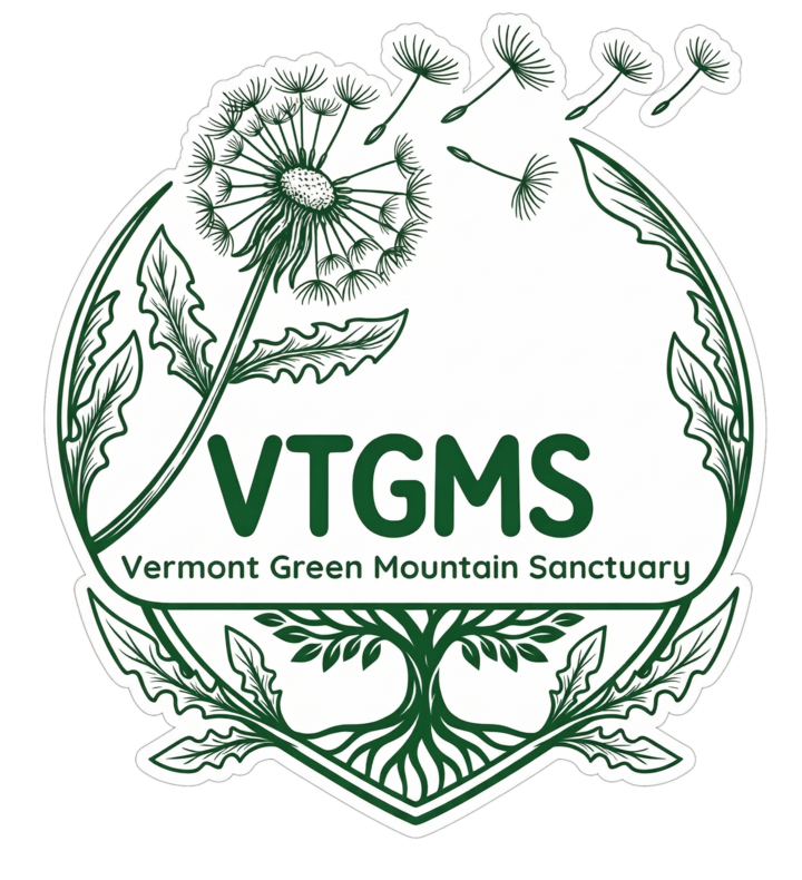 Vermont Green Mountain Sanctuary